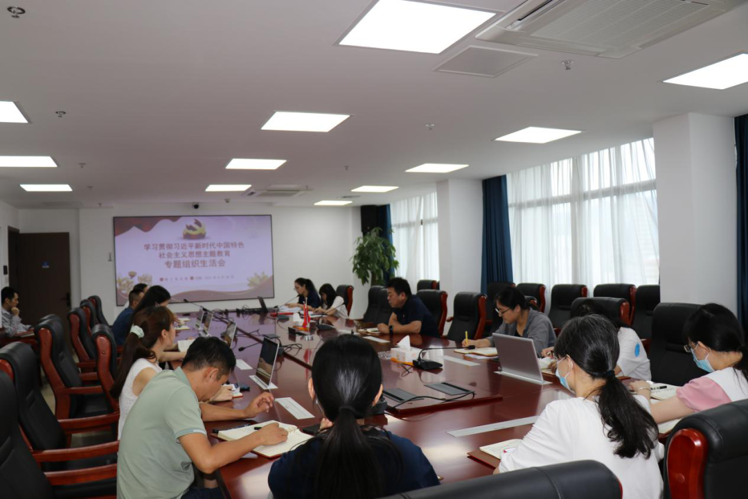 主題教育丨石化設(shè)計(jì)院各黨支部召開主題教育專題組織生活會(huì)(圖4)